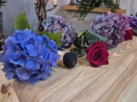 ein Bild aus dem Album