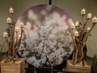 ein Bild aus dem Album