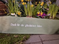 ein Bild aus dem Album
