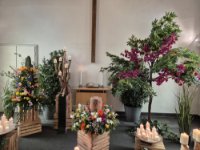 ein Bild aus dem Album