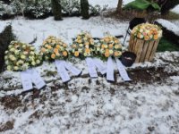 ein Bild aus dem Album