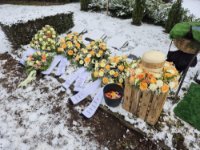 ein Bild aus dem Album