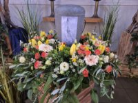 ein Bild aus dem Album