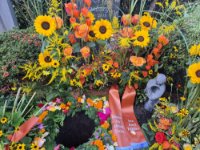 ein Bild aus dem Album