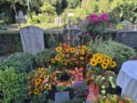 ein Bild aus dem Album