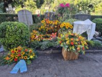 ein Bild aus dem Album