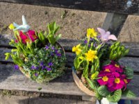 ein Bild aus dem Album