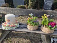 ein Bild aus dem Album